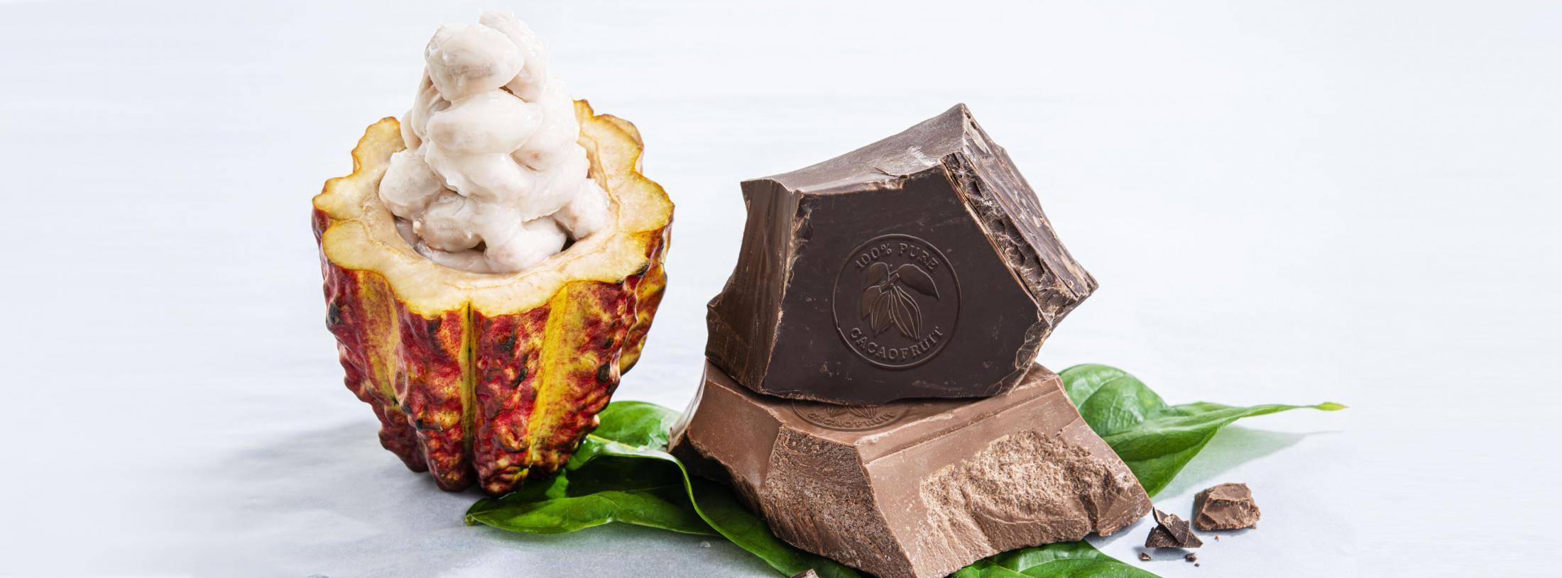 WholeFruit Chocolate from Barry Callebaut Barry Callebaut